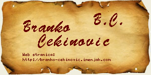 Branko Cekinović vizit kartica